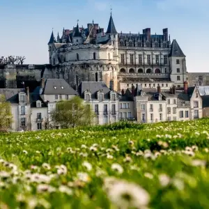 Explore Chateaux of the Loire Walk for 8 days with Exodus Adventure Travels and discover unforgettable experiences - Photo 4