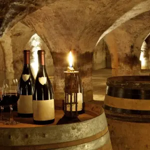 Explore Cycling the Grand Crus of Burgundy for 7 days with Exodus Adventure Travels and discover unforgettable experiences - Photo 3