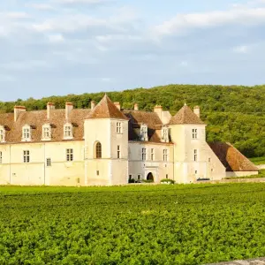 Explore Cycling the Grand Crus of Burgundy for 7 days with Exodus Adventure Travels and discover unforgettable experiences - Photo 4