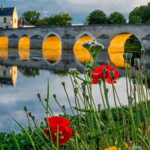 Explore Chateaux of the Loire Walk for 8 days with Exodus Adventure Travels and discover unforgettable experiences - Photo 6