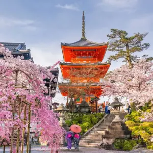 Explore Walk the Kumano Kodo for 11 days with Exodus Adventure Travels and discover unforgettable experiences - Photo 5