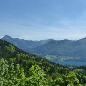 Explore Self-Guided Walking in Austria's Lake District for 8 days with Exodus Adventure Travels and discover unforgettable experiences - Photo 3