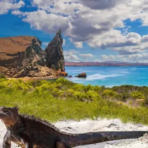 Explore Highlights of Ecuador & the Galapagos for 15 days with Exodus Adventure Travels and discover unforgettable experiences - Photo 6