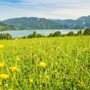 Explore Self-Guided Walking in Austria's Lake District for 8 days with Exodus Adventure Travels and discover unforgettable experiences - Photo 8
