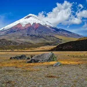 Explore Highlights of Ecuador & the Galapagos for 15 days with Exodus Adventure Travels and discover unforgettable experiences - Photo 11
