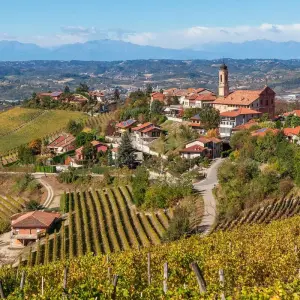 Explore Barolo Gastronomic Cycling by E-Bike for 9 days with Exodus Adventure Travels and discover unforgettable experiences - Photo 2