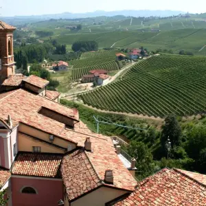 Explore Barolo Gastronomic Cycling by E-Bike for 9 days with Exodus Adventure Travels and discover unforgettable experiences - Photo 3