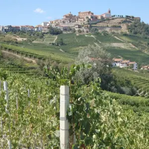 Explore Barolo Gastronomic Cycling by E-Bike for 9 days with Exodus Adventure Travels and discover unforgettable experiences - Photo 5