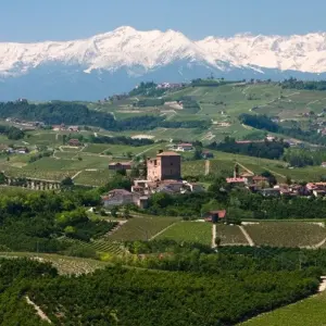 Explore Barolo Gastronomic Cycling by E-Bike for 9 days with Exodus Adventure Travels and discover unforgettable experiences - Photo 9