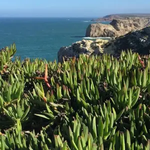 Explore Walking Portugal's Wild Algarve for 8 days with Exodus Adventure Travels and discover unforgettable experiences - Photo 4