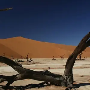 Explore Discover Namibia - Lodges for 13 days with Exodus Adventure Travels and discover unforgettable experiences - Photo 2