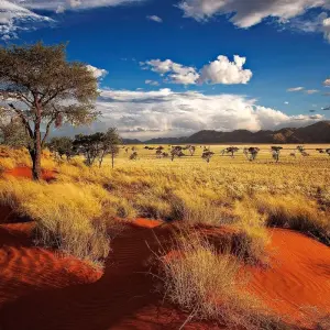 Explore Discover Namibia - Lodges for 13 days with Exodus Adventure Travels and discover unforgettable experiences - Photo 10