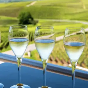 Explore Cycle the Wine Route of Champagne for 6 days with Exodus Adventure Travels and discover unforgettable experiences - Photo 2