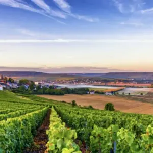 Explore Cycle the Wine Route of Champagne for 6 days with Exodus Adventure Travels and discover unforgettable experiences - Photo 3