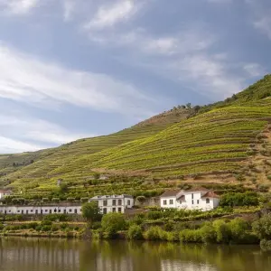 Explore Tour the Treasures of Portugal for 8 days with Exodus Adventure Travels and discover unforgettable experiences - Photo 4