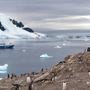Explore Antarctica by Helicopter: Icebergs, Mountains & Remote Lands, Operated by Quark for 12 days with Exodus Adventure Travels and discover unforgettable experiences - Photo 5