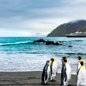 Explore Antarctica by Helicopter: Icebergs, Mountains & Remote Lands, Operated by Quark for 12 days with Exodus Adventure Travels and discover unforgettable experiences - Photo 6