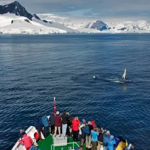 Explore Antarctica by Helicopter: Icebergs, Mountains & Remote Lands, Operated by Quark for 12 days with Exodus Adventure Travels and discover unforgettable experiences - Photo 7