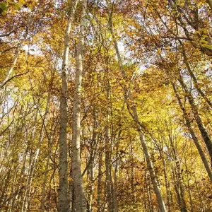 Explore Photo tour of unrevealed Macedonia for 7 days with Experience Balkan and discover unforgettable experiences - Photo 8