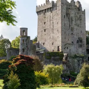 Explore Irish Explorer for 7 days with Expat Explore Travel and discover unforgettable experiences - Photo 4