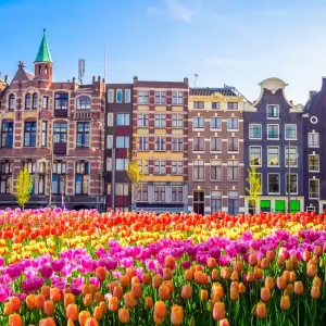 Explore European Vistas for 8 days with Expat Explore Travel and discover unforgettable experiences - Photo 11