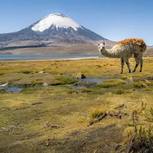 Explore Argentina, Atacama Desert & Chile Delights for 13 days with Expat Explore Travel and discover unforgettable experiences - Photo 4