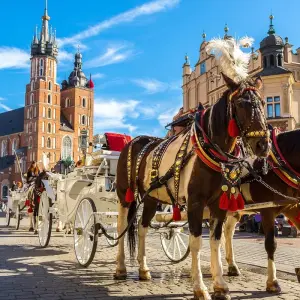 Explore Eastern Highlights Christmas & New Year for 11 days with Expat Explore Travel and discover unforgettable experiences - Photo 7