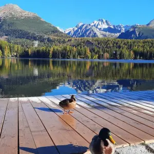 Explore Bear watching hiking tour for 4 days with Experience Slovakia and discover unforgettable experiences - Photo 5