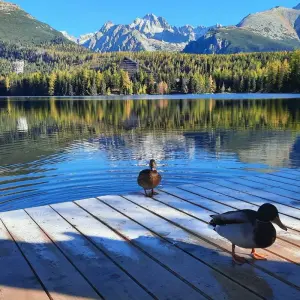 Explore Observing susliks at Muránská plain and Visiting High Tatras National Park for 4 days with Experience Slovakia and discover unforgettable experiences - Photo 5