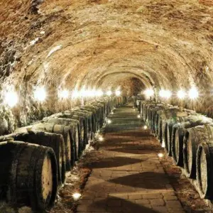 Explore Wine tasting & Spa (small group minimum 2 people & maximum 8 people) for 4 days with Experience Slovakia and discover unforgettable experiences - Photo 4