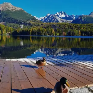 Explore The best of Eastern Slovakia (small group minimum 2 people & maximum 8 people) for 7 days with Experience Slovakia and discover unforgettable experiences - Photo 11