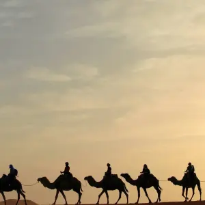 Explore Best of 9-Days Morocco Tour from Casablanca for 9 days with Explore Morocco Journeys and discover unforgettable experiences - Photo 6