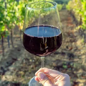 Explore Winelands & Garden Route Health & Wellness:   Spa Treatments - Nutritious Cuisine - Fine Wine   (5 Days) for 5 days with Explore South Africa and discover unforgettable experiences - Photo 4