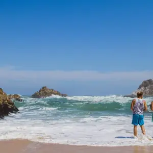 Explore Cape Town - Winelands - Garden Route - Addo National Park:  6 Day Tour for 6 days with Explore South Africa and discover unforgettable experiences - Photo 4