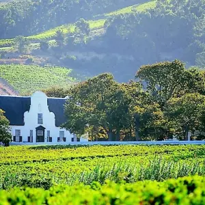 Explore Winelands & Garden Route Health & Wellness:   Spa Treatments - Nutritious Cuisine - Fine Wine   (5 Days) for 5 days with Explore South Africa and discover unforgettable experiences - Photo 8