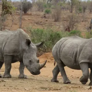 Explore South Africa & Eswatini for 10 days with Explore! and discover unforgettable experiences - Photo 3