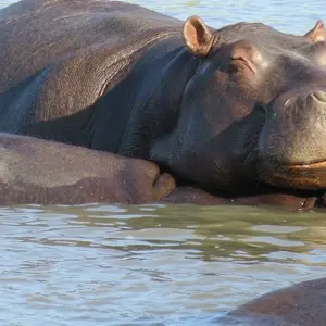 Explore South Africa & Eswatini for 10 days with Explore! and discover unforgettable experiences - Photo 6