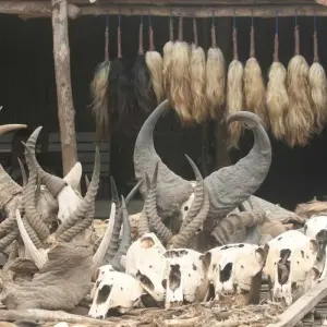 Explore Benin and Togo Voodoo Discovery (Voodoo Festival) for 14 days with Explore! and discover unforgettable experiences - Photo 6