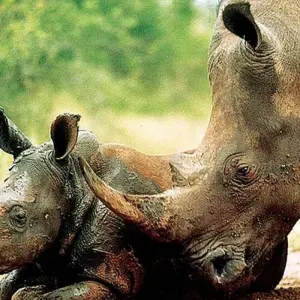 Explore South Africa & Eswatini for 10 days with Explore! and discover unforgettable experiences - Photo 7