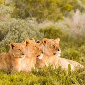 Explore South Africa & Eswatini for 10 days with Explore! and discover unforgettable experiences - Photo 8