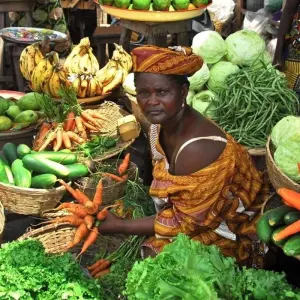 Explore Benin and Togo Voodoo Discovery (Voodoo Festival) for 14 days with Explore! and discover unforgettable experiences - Photo 9