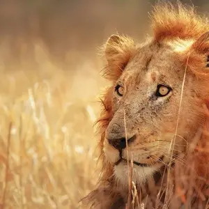 Explore South Africa & Eswatini for 10 days with Explore! and discover unforgettable experiences - Photo 10