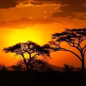 Explore South Africa & Eswatini for 10 days with Explore! and discover unforgettable experiences - Photo 11