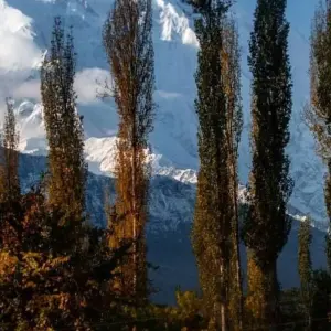 Explore Hunza and skardu overland Tour for 13 days with Exploria and discover unforgettable experiences - Photo 8