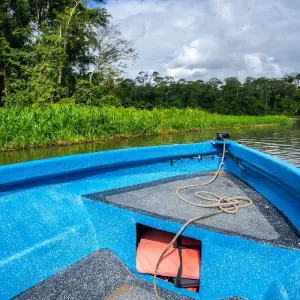 Explore Costa Rica Wildlife Tour (10 destinations) for 15 days with Explore! and discover unforgettable experiences - Photo 4