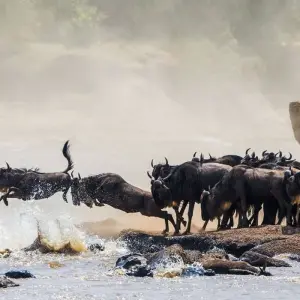 Explore Highlights of Kenya & Tsavo Extension for 12 days with Explore! and discover unforgettable experiences - Photo 2