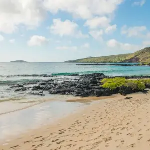 Explore Galapagos - Central & West Islands aboard the Solaris for 9 days with Explore! and discover unforgettable experiences - Photo 2