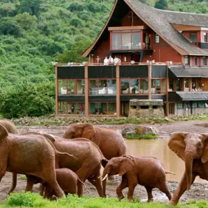 Explore Highlights of Kenya & Tsavo Extension for 12 days with Explore! and discover unforgettable experiences - Photo 7