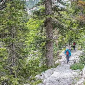 Explore Walks and Coastal Towns of Croatia (New) for 8 days with Explore! and discover unforgettable experiences - Photo 10