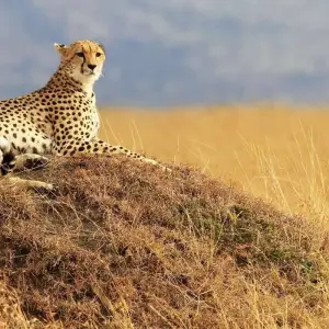 Explore Highlights of Kenya & Tsavo Extension for 12 days with Explore! and discover unforgettable experiences - Photo 9